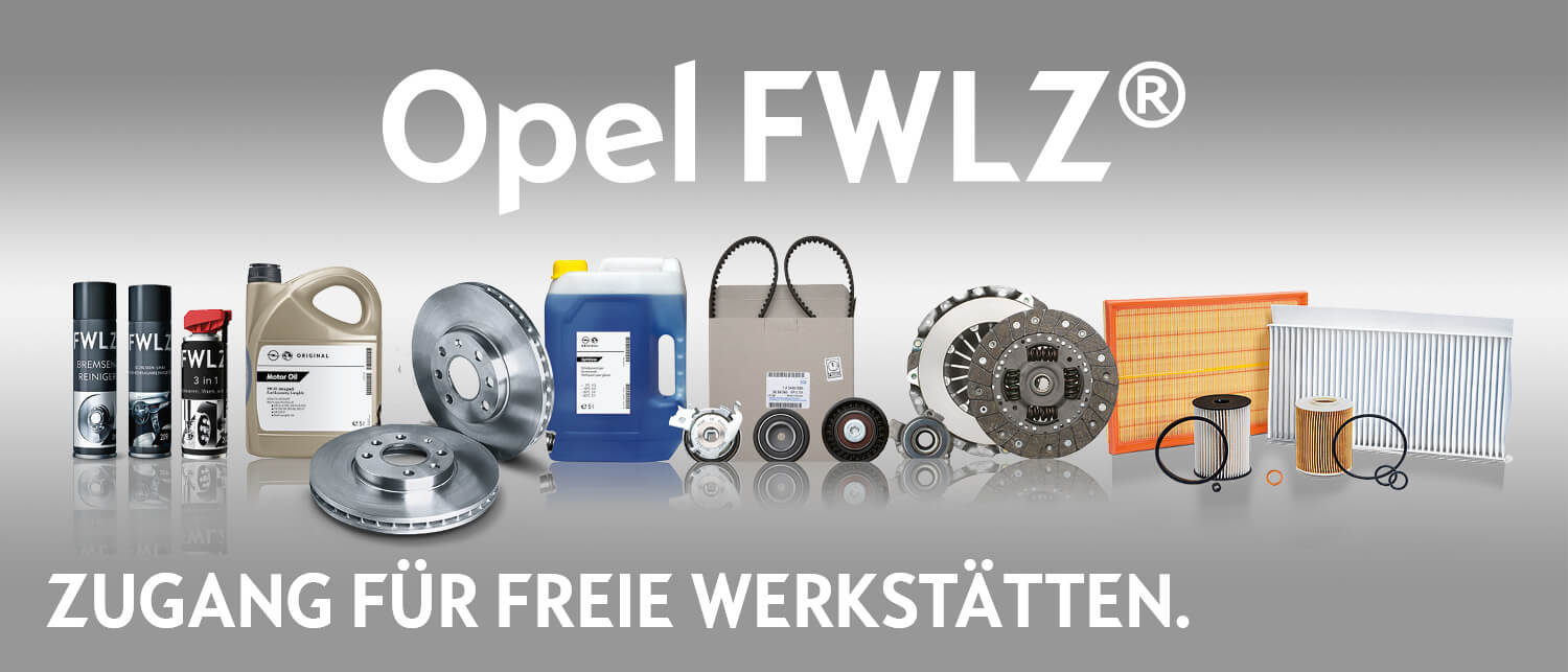 Opel-FWLZ-Zugang-fuer-freie-Werkstaetten-HWS.jpg